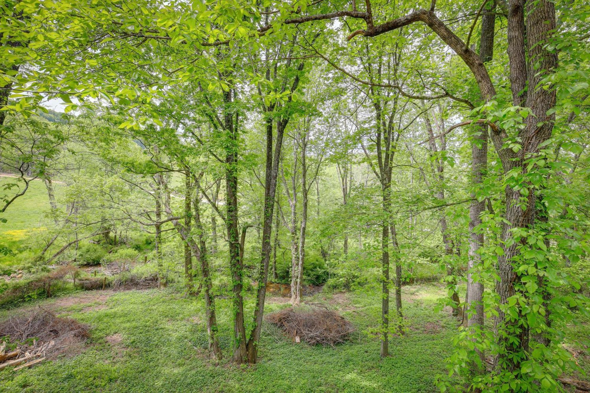Quaint Blue Ridge Cabin Rental With On-Site Stream! Sparta Eksteriør billede